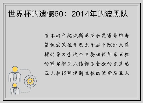 世界杯的遗憾60：2014年的波黑队