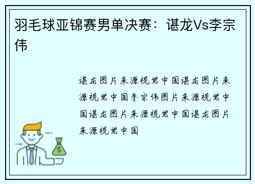 羽毛球亚锦赛男单决赛：谌龙Vs李宗伟
