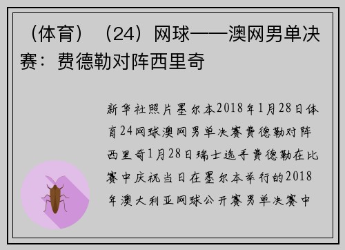 （体育）（24）网球——澳网男单决赛：费德勒对阵西里奇